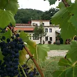 Tenuta Carbognano * Gemmano