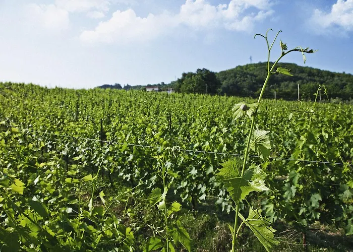 Tenuta Carbognano فندق Gemmano