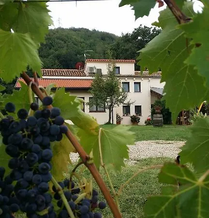 Tenuta Carbognano * Gemmano