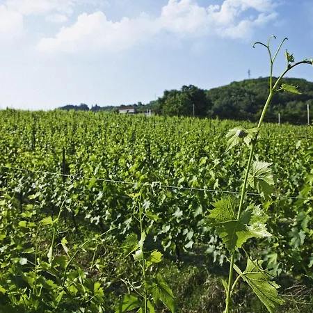 Tenuta Carbognano Hotell Gemmano