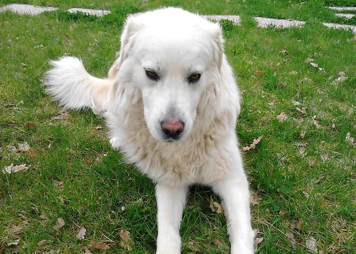 Szálloda Tenuta Carbognano Gemmano